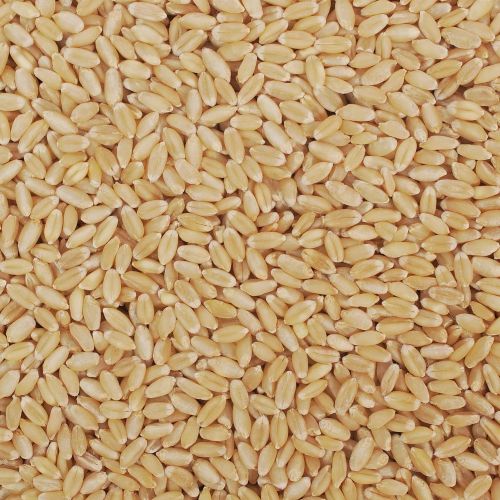 Gropure Organic Wheat