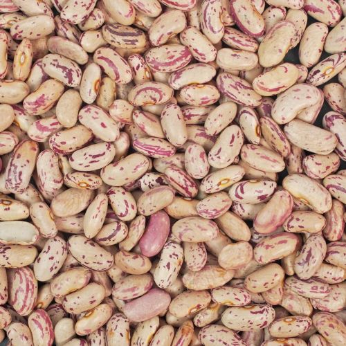 More White Loose Rajma 500gm