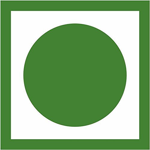 Nutraj Super Raisin 500gm (Long)