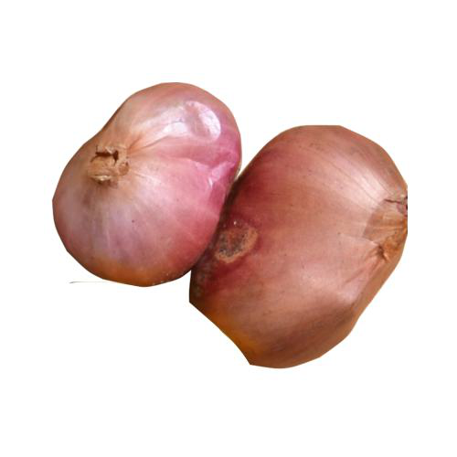 Fresh Organic Onion